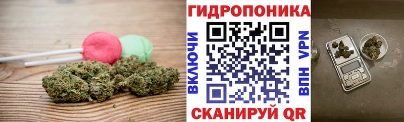Купить где  Шагонар  Cannafood конопля 