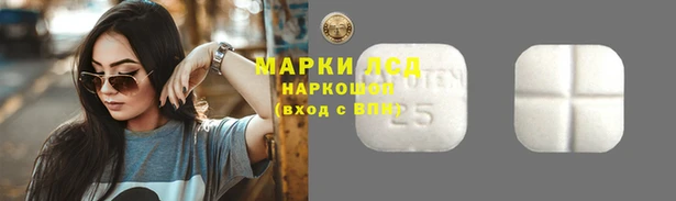 гидра Россошь