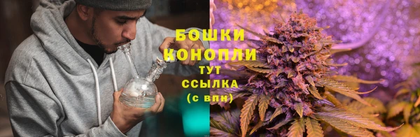 гидра Россошь
