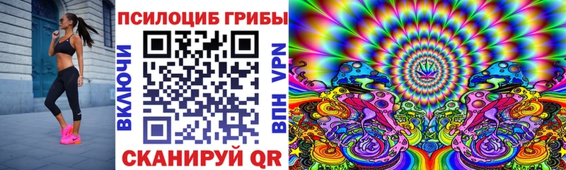 Псилоцибиновые грибы Cubensis  Купить закладки  Шагонар 