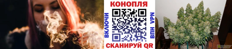 Шишки марихуана план  Купить  Шагонар 